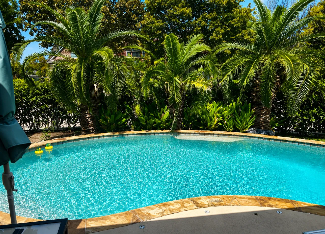 Tropical Palm Pool